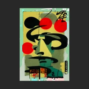 The Digital Donn - Dr Funky